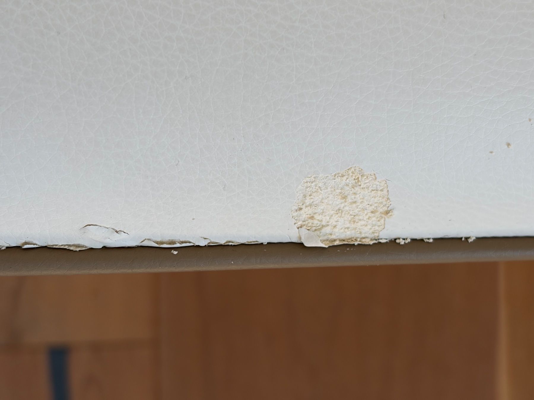 Stühle: Esszimmerstühle – Gebraucht aus Küsnacht ZH von nor_8g26 2