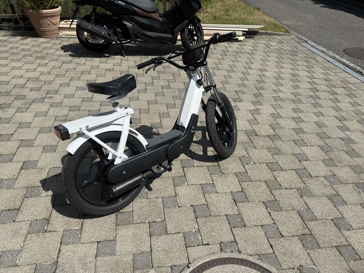 Piaggio Ciclomotori: Piaggio Ciao mit Ausweis – Usato da Niedergösgen venduto da joe_9jr2