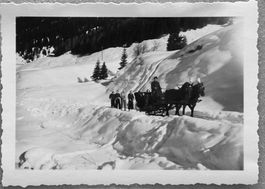 Privatfoto, 1934 - Davos, Wintergäste, Pferdekutsche
