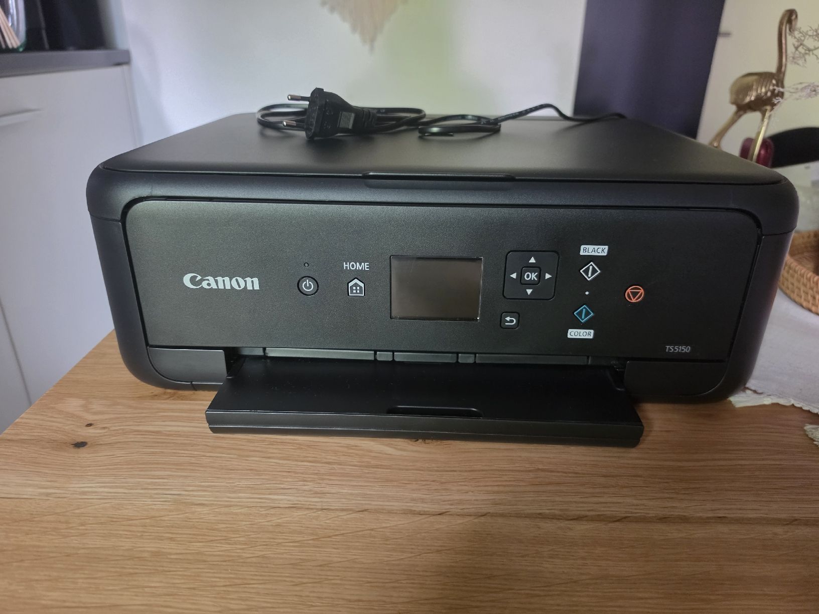 Canon Drucker: Canon TS5150 Drucker gebraucht – Gebraucht aus Zürich von domoli09