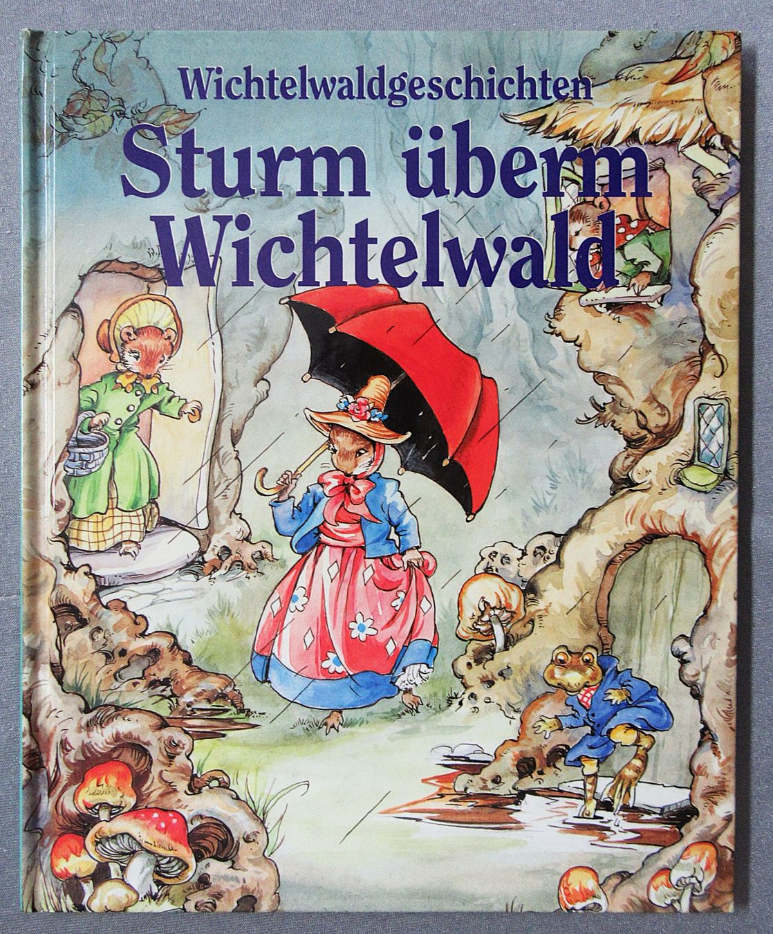 Libri: Wichtelwaldgeschichten - Sturm überm Wichtelwald – Usato da Auenstein venduto da Padabimbim
