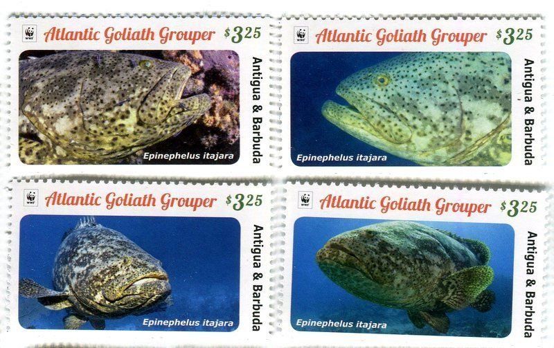 Tutti i francobolli: Briefmarken "Fische" Antigua und Barbuda – Nuovo e nell'imballaggio originale da Basel venduto da Butsch5