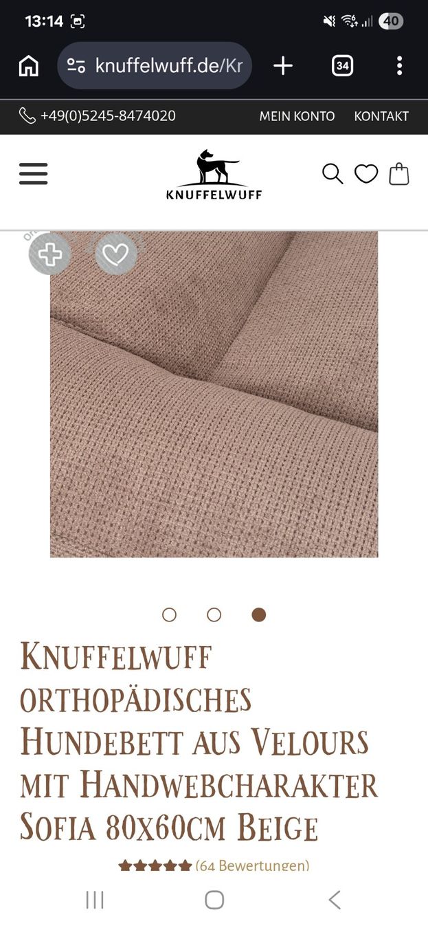 Cucce & Letti: Orthopädisches Hundebett – Nuovo (secondo la descrizione) da Aesch LU venduto da Cashu 2