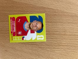 CZE 5 - Vladimir Coufal - Panini WM 26