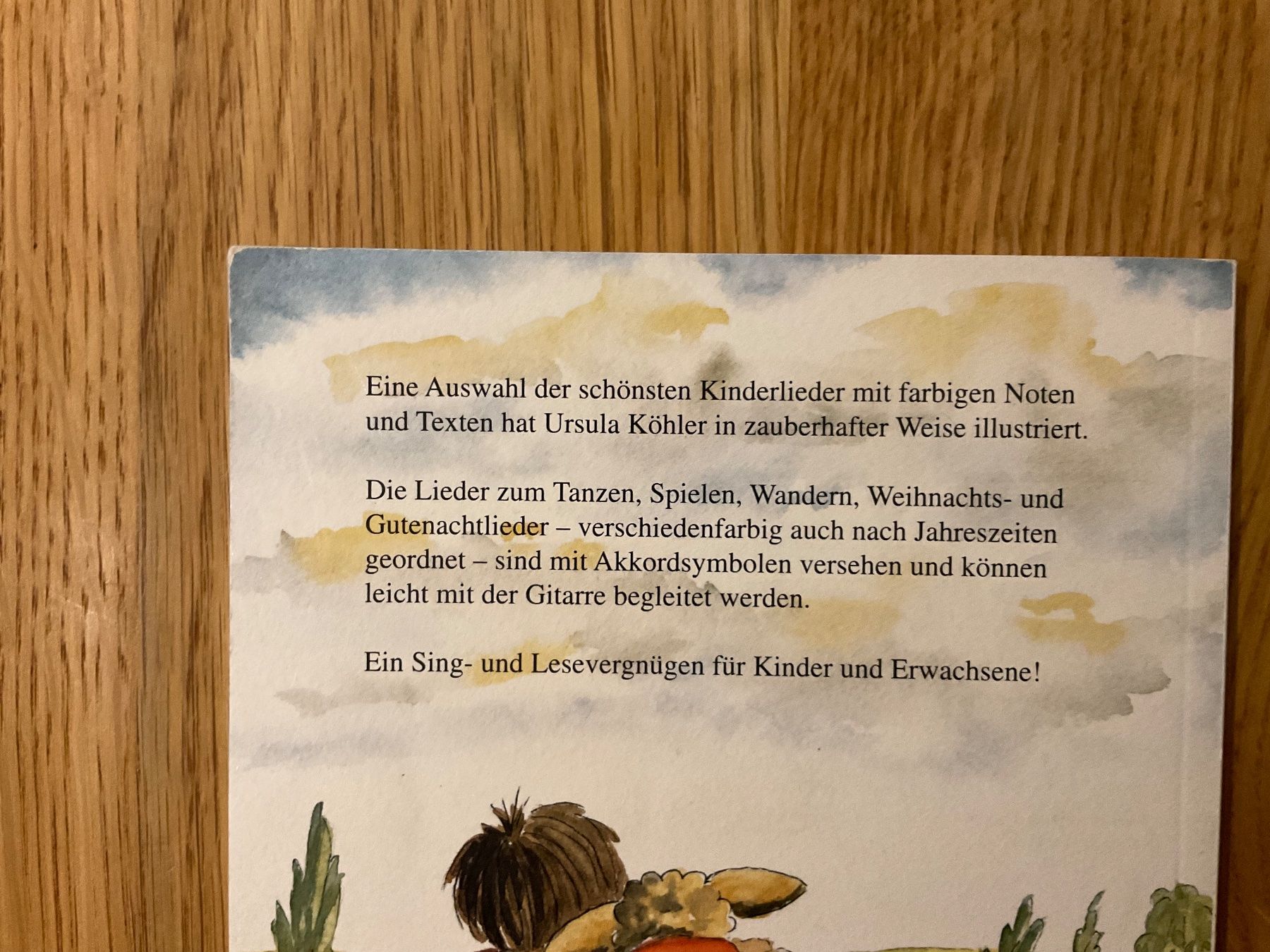 Libri: Die schönsten Kinderlieder mit farbigen Noten - Ursula Köhle – Usato da Wetzikon ZH venduto da Gerbera5 1