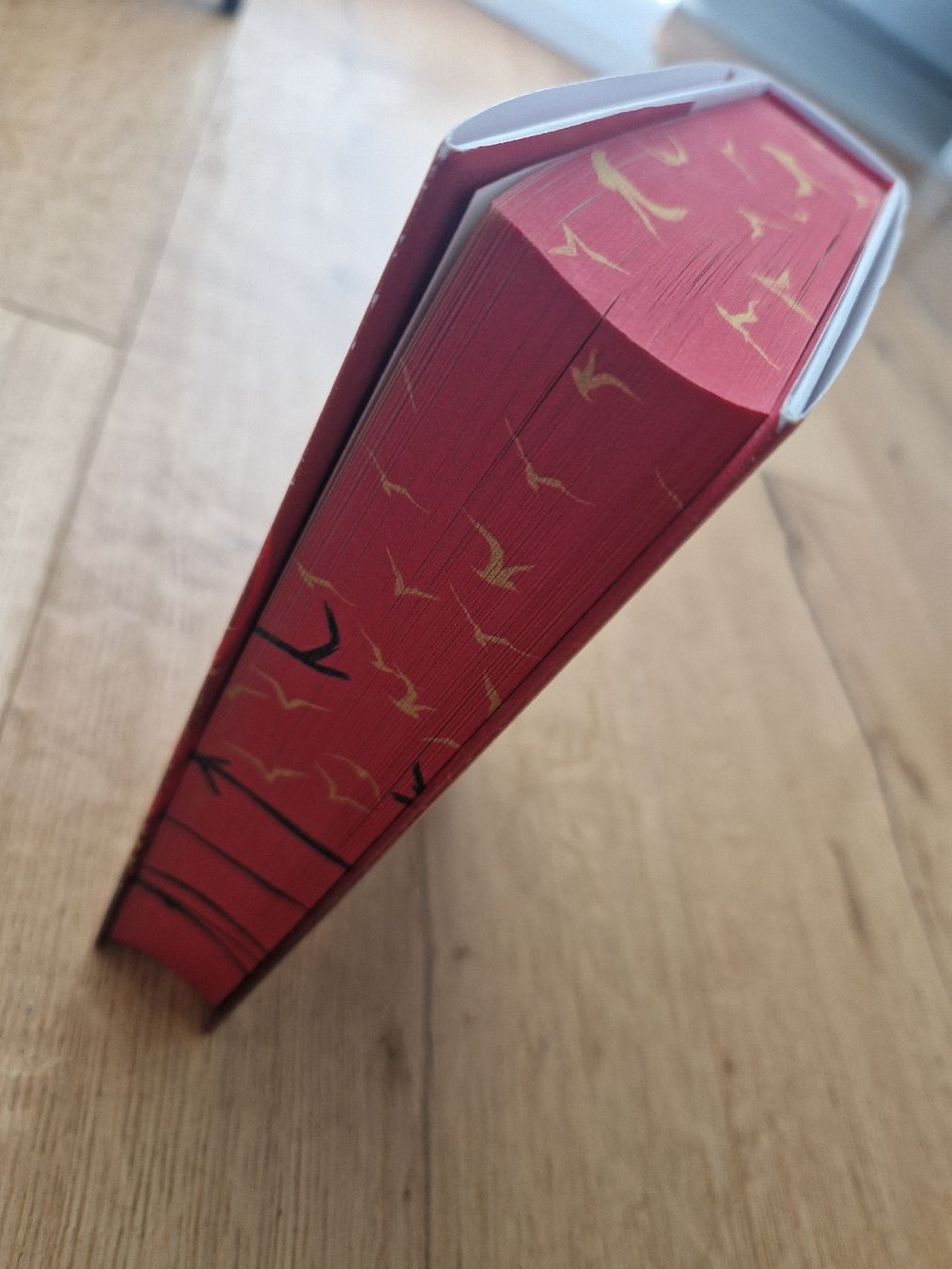 Libri: To Cage a Wild Bird mit Farbschnitt – Nuovo (secondo la descrizione) da Ruswil venduto da Angieee 2