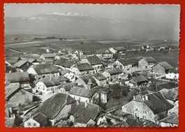 Arnex 1962
