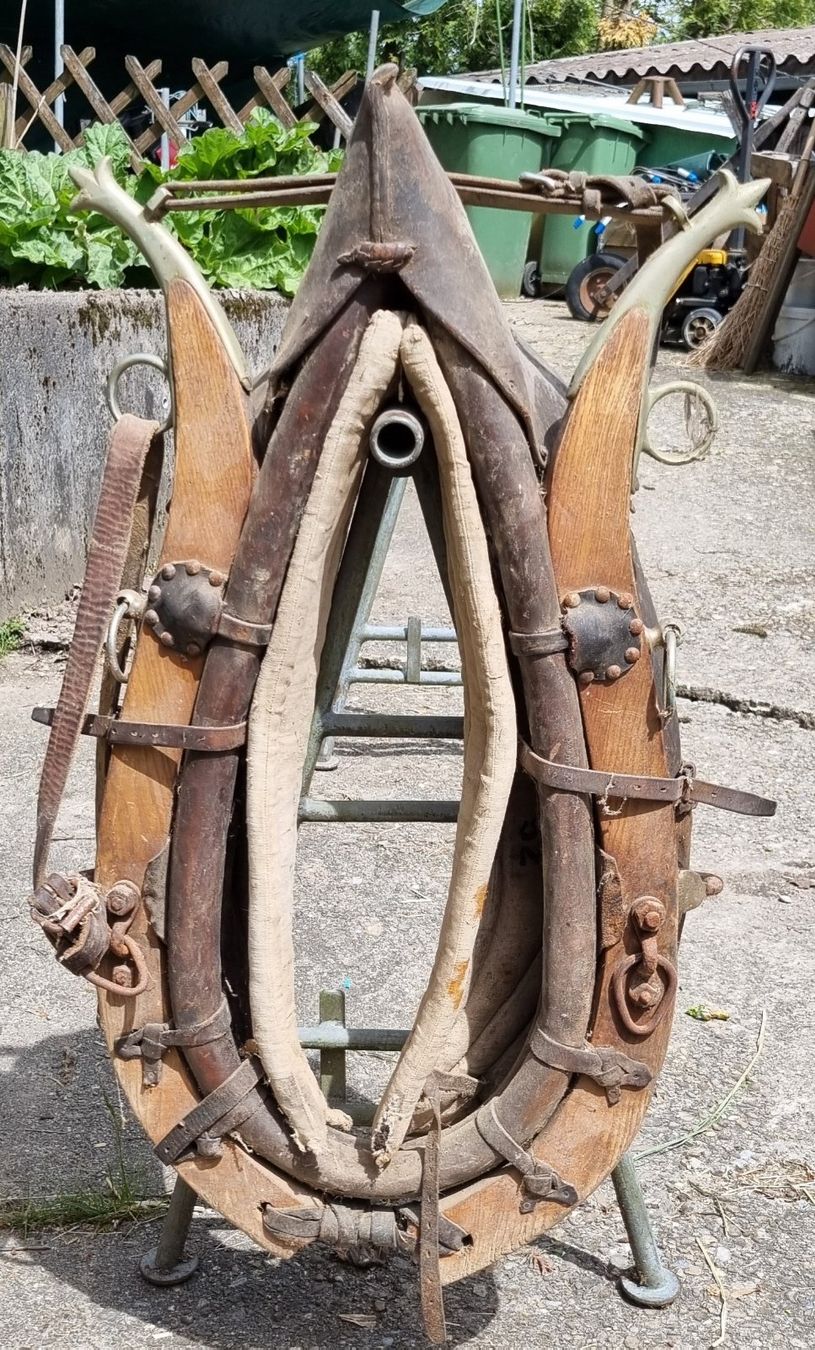 Briglie & Cavezze: Pferde-Kummet – Usato da Bergdietikon venduto da Gabo84