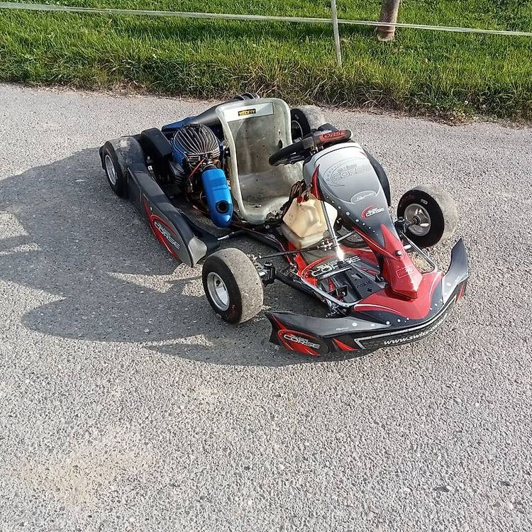 Kinder Go Kart (Gebraucht) in Heldswil für CHF 890 – nur Abholung auf ...