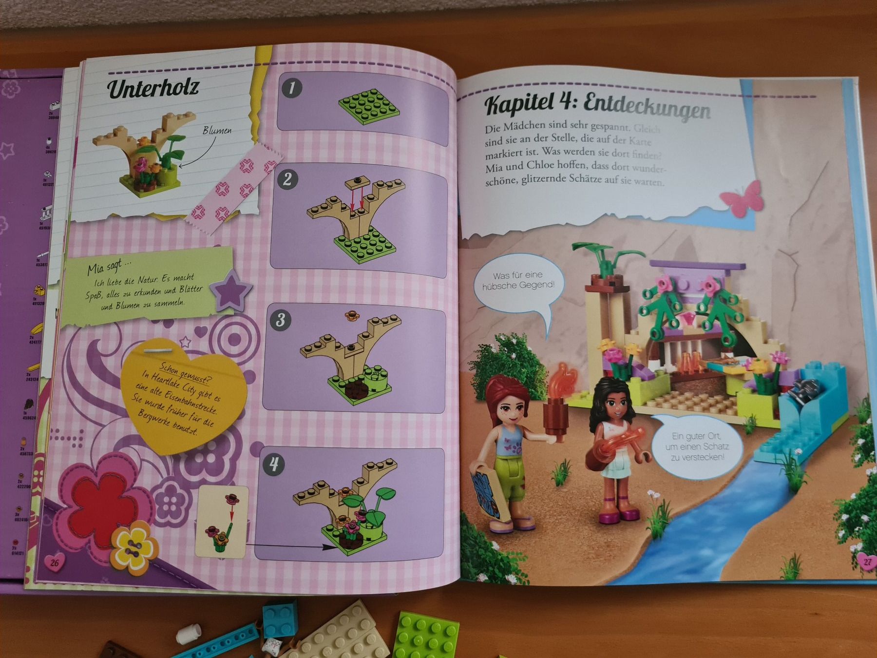 Lego Giocattoli: Lego Friends Buch & Steine-Set – Usato da Oberwil-Lieli venduto da Ajade 4