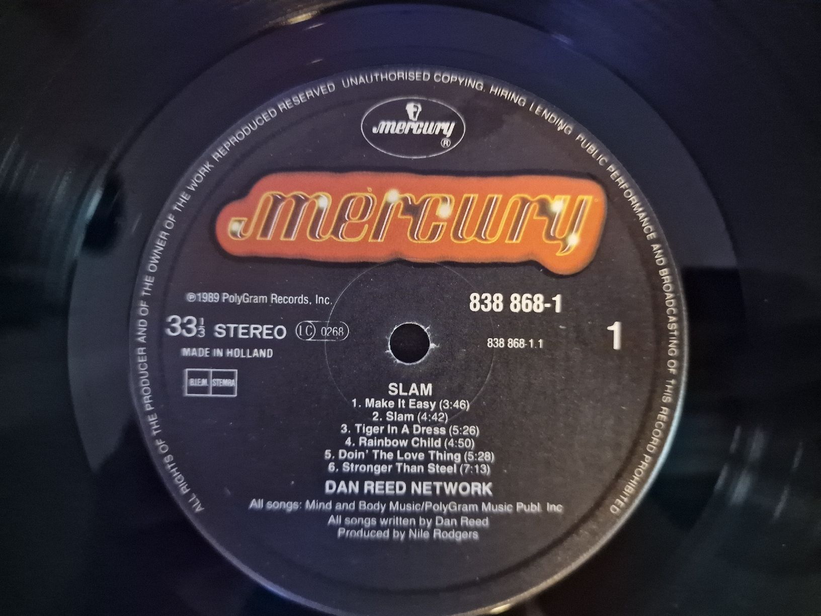 Dischi in vinile: Dan Reed Network - Slam – Usato da Pfaffnau venduto da gunport 2