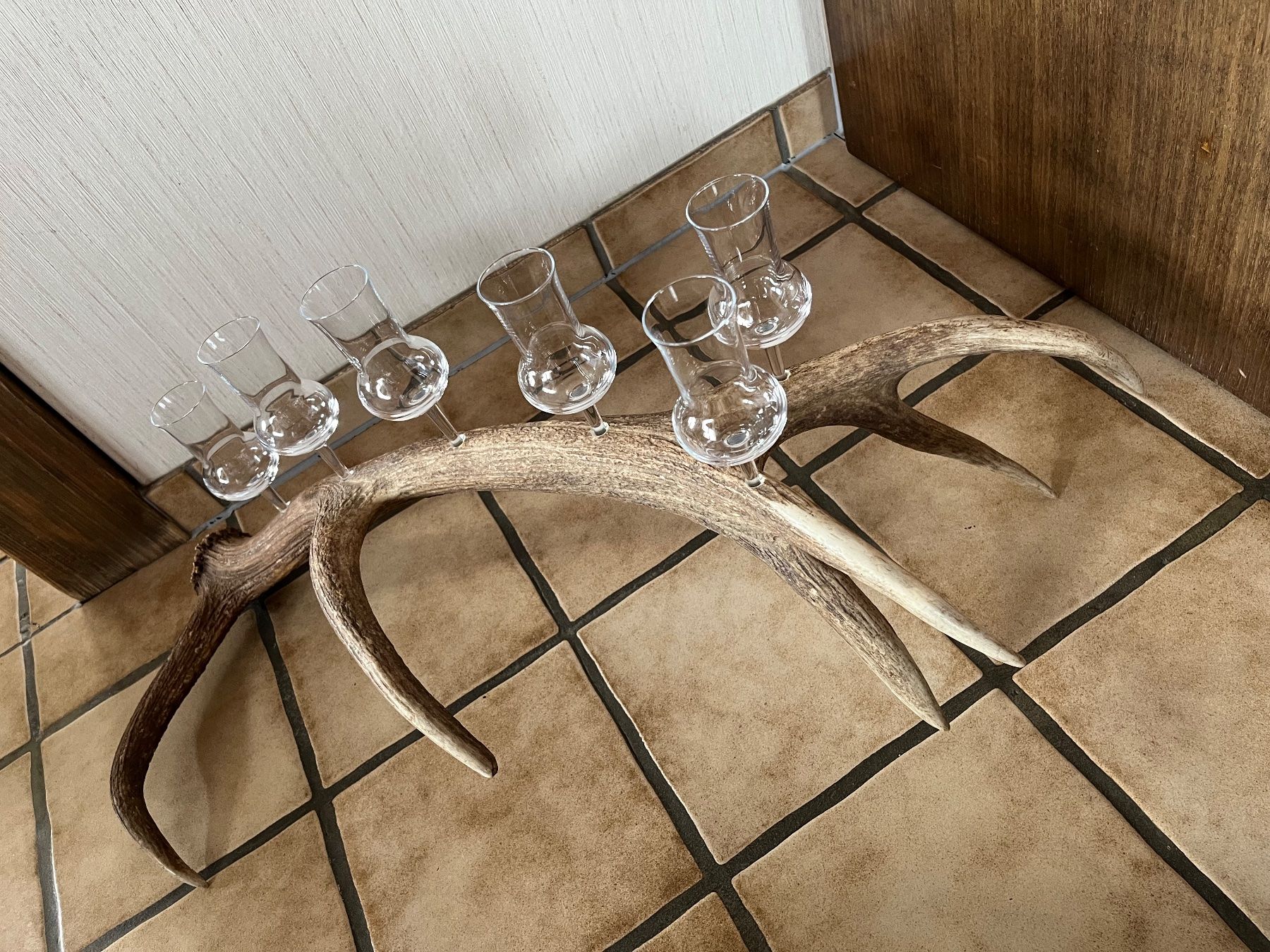 Tutte le decorazioni: Hirschgeweih mit 6 Schnapsgläser – Usato da Sattel venduto da Faca 1