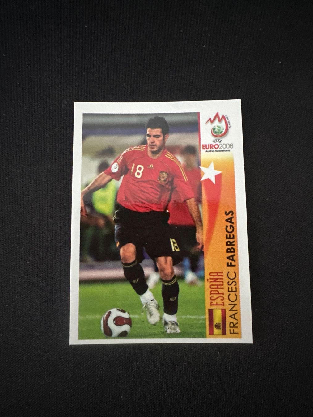 Panini Carte collezionabili: Panini UEFA EM 2008 Sticker - Nr. 504 – Usato da Sulz AG venduto da DealWerk