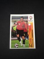 Panini UEFA EM 2008 Sticker - Nr. 504