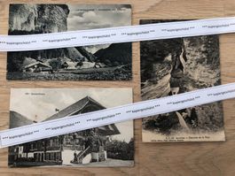 Lauterbrunnen Louëche Bernerhaus Rarität