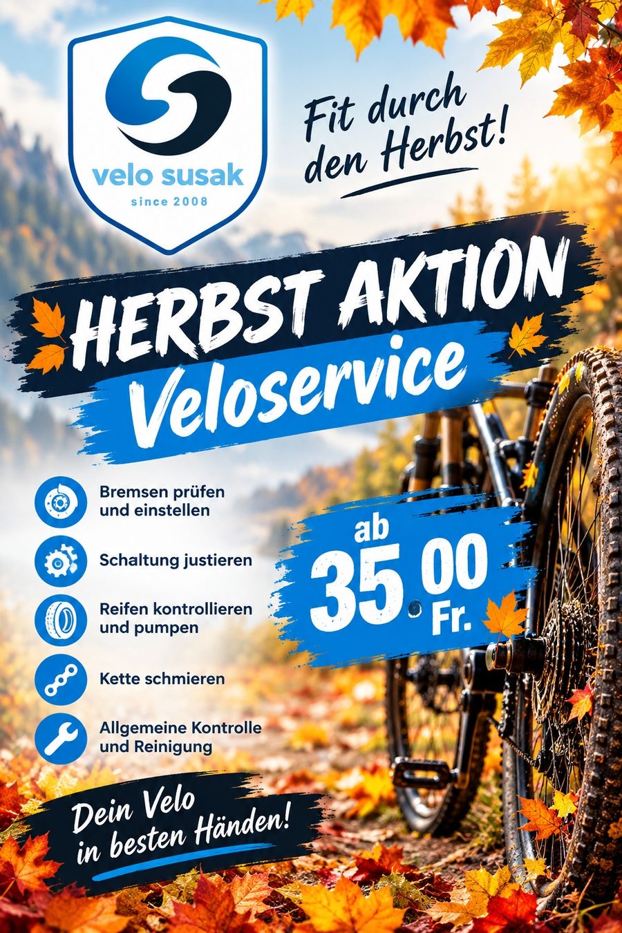 Vélos: Veloservice – Neuf (Voir description) à Oberhasli par Velo_Susak
