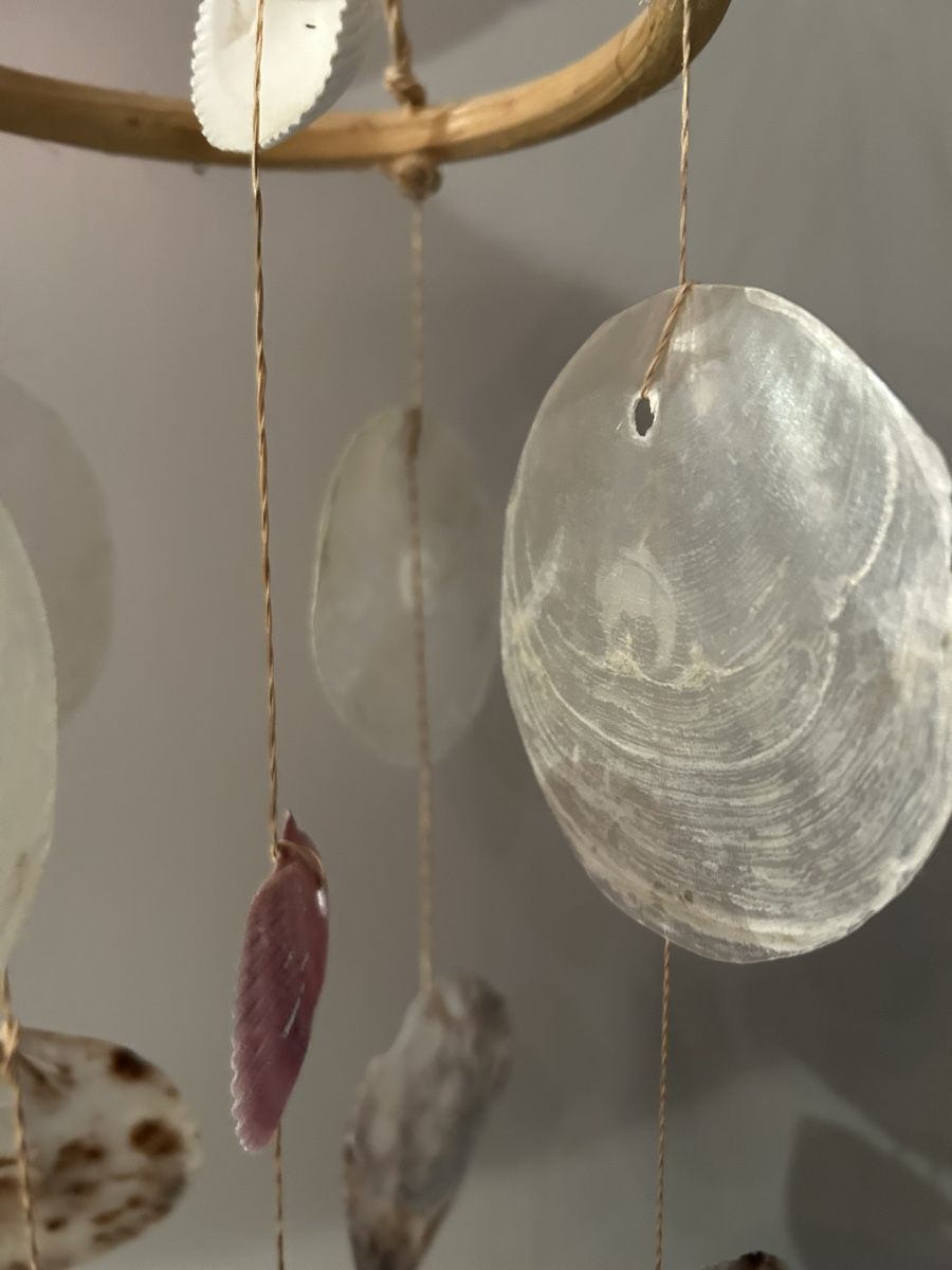 Tutte le decorazioni: Muschel Mobile (Windspiel) – Usato da Mägenwil venduto da afiloni84 3