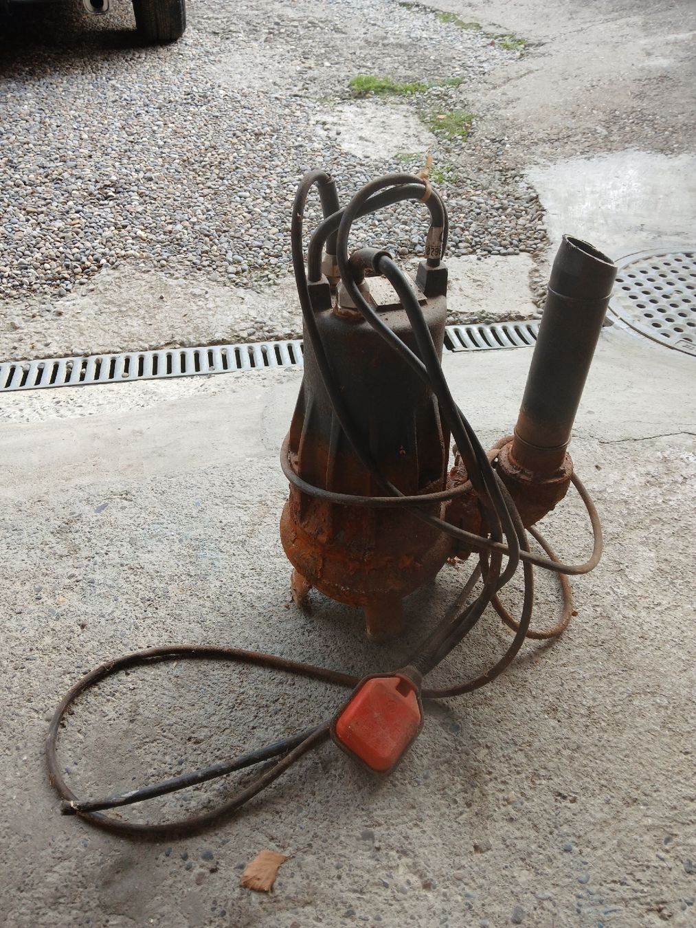 Pumpen & Teile: fäckalienpumpe – Defekt aus Nottwil von Samantha033