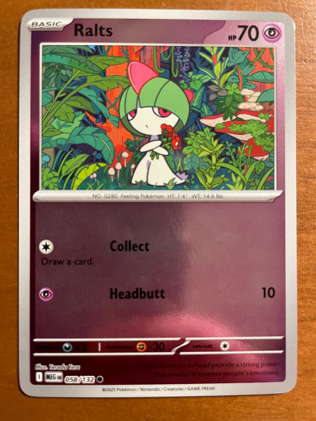 Pokémon Carte collezionabili: Pokemon Ralts Reverse (Versand gratis) – Nuovo (secondo la descrizione) da Chur venduto da Angerson