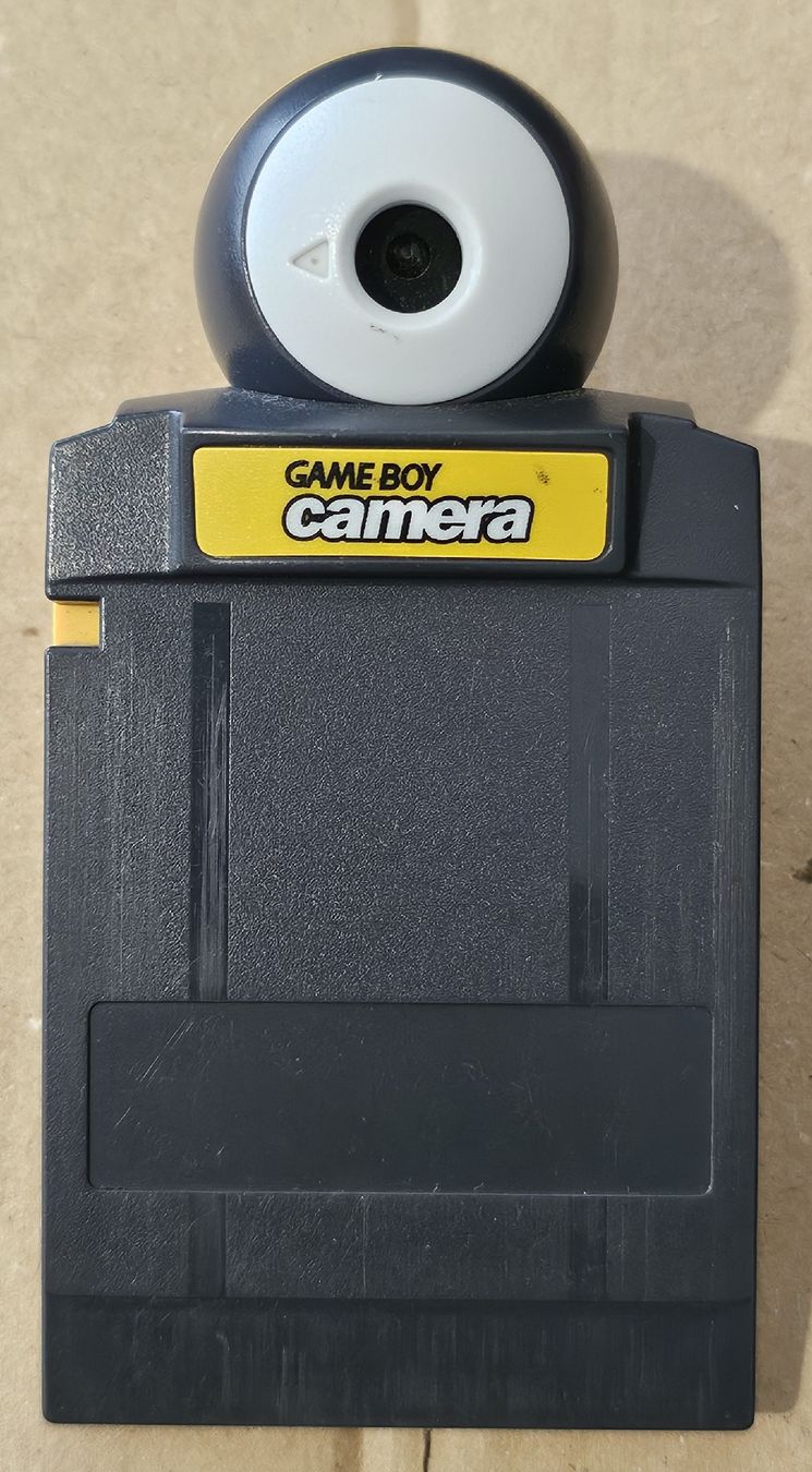 Nintendo Giochi: Jeu Nintendo Gameboy Camera – Usato da Pully venduto da RandomZero