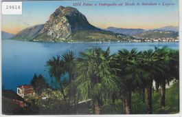 Palme a Castagnola col Monte San