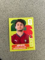 Panini 2022 Joao Neves Portugal WM Sticker Top Zustand
