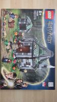 LEGO Harry Potter 76428 Hagrids Hütte - Komplett!