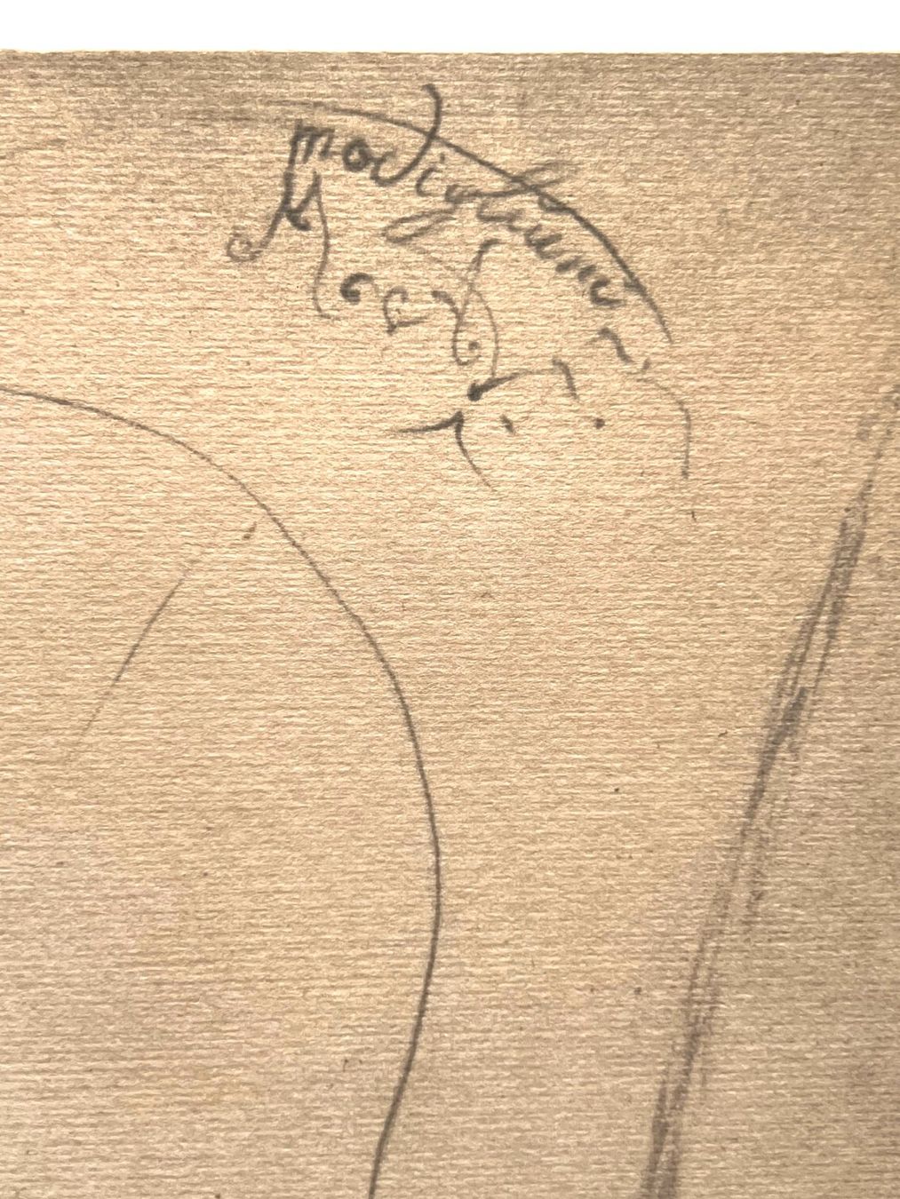 Grafica & Litografie: Amedeo Modigliani - Lithografie in limitierter Auflage – Usato da Ponte Tresa venduto da 11GalleriaAlterEgo11 8