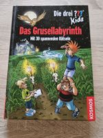 Die drei ??? Kids Das Grusellabyrinth Kinderbuch gebraucht
