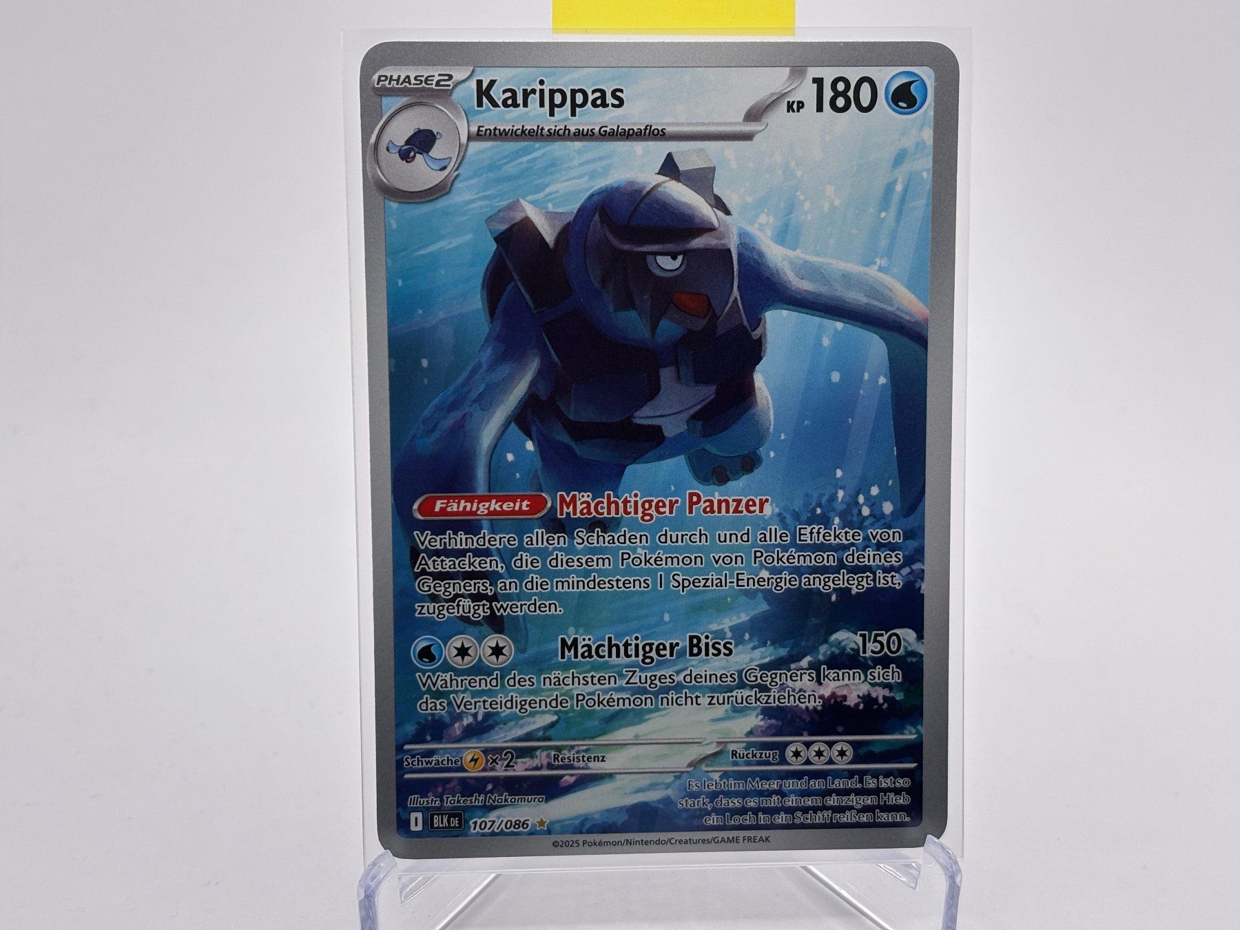 Pokémon Carte collezionabili: Schwarze Blitze - Karippas  (BLK 107) - DE – Nuovo (secondo la descrizione) da Allschwil venduto da Bullach