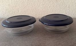 Tupperware Mini-Schüsseln Set 2-teilig blau transparent