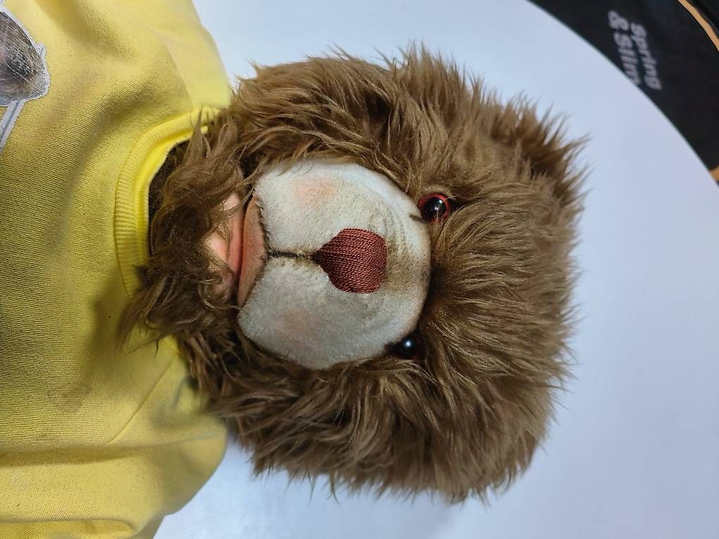 Jouets: Teddy – D'occasion à Oberwil i. S. par Roleschl 2