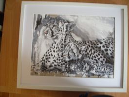 2 x R.Knie Bilder