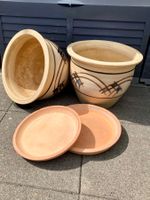 2 grands pots de fleurs