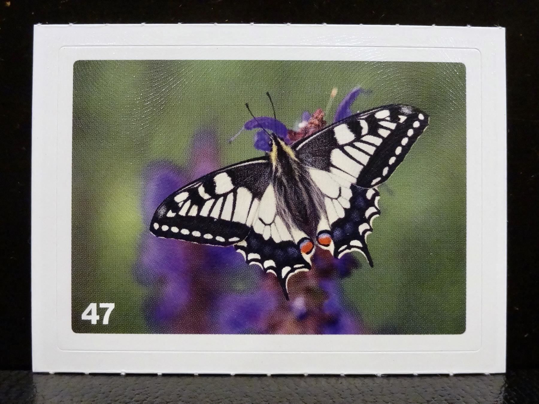 Migros Sammelbilder & Trading cards: MIGROS MANIA Nature Detectives Nr. 47 – Gebraucht aus Kerzers von zimmergruen