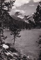 Albulapass Palpuognasee mit Piz Aela 1957