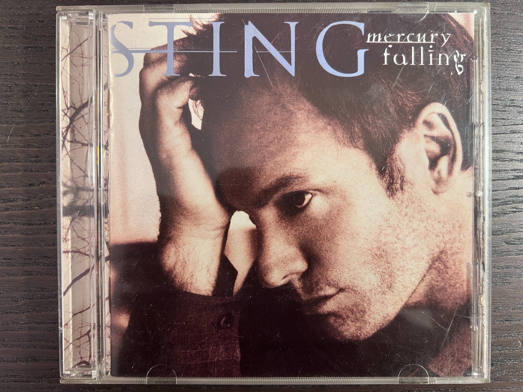 CD: Sting - Mercury Falling – Usato da Zürich venduto da MusikFreunde