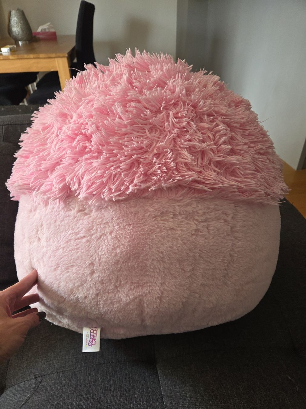 Squishmallows Jouets: Squishmallows Brina, der Bigfoot – D'occasion à Rafz par leoncupra 1