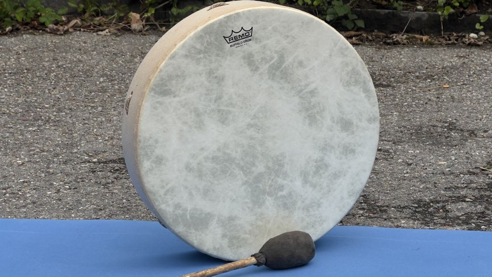Remo Buffalo Drum Trommel Handtrommel Schamanentrommel (Gebraucht) in ...