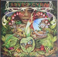 SPYRO GYRA - MORNING DANCE