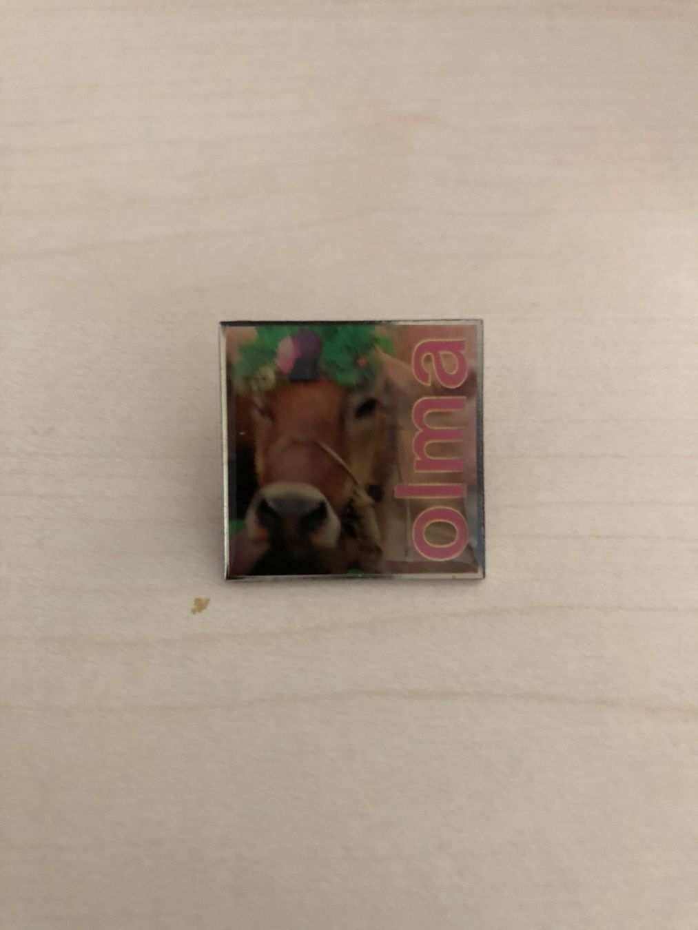 Placchette & Badge: OLMA Pin – Nuovo (secondo la descrizione) da Erlen venduto da astra2013