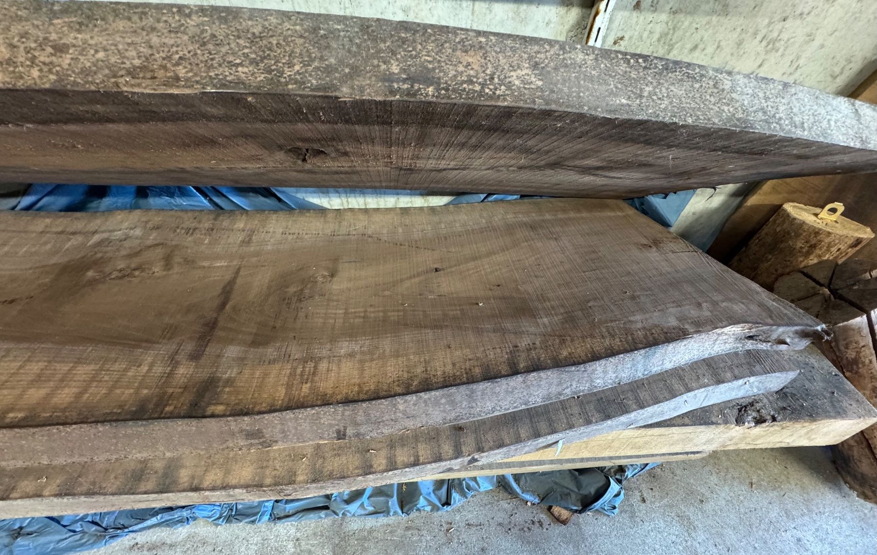 Articles en bois: 3 massive Nussbaum-Bohlen 265 cm – Neuf (Voir description) à Kestenholz par cvx_889vv