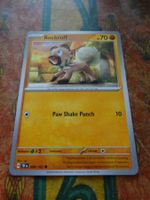 POKEMON  Rockruff   H  TEF EN  089/162   HP70  2024