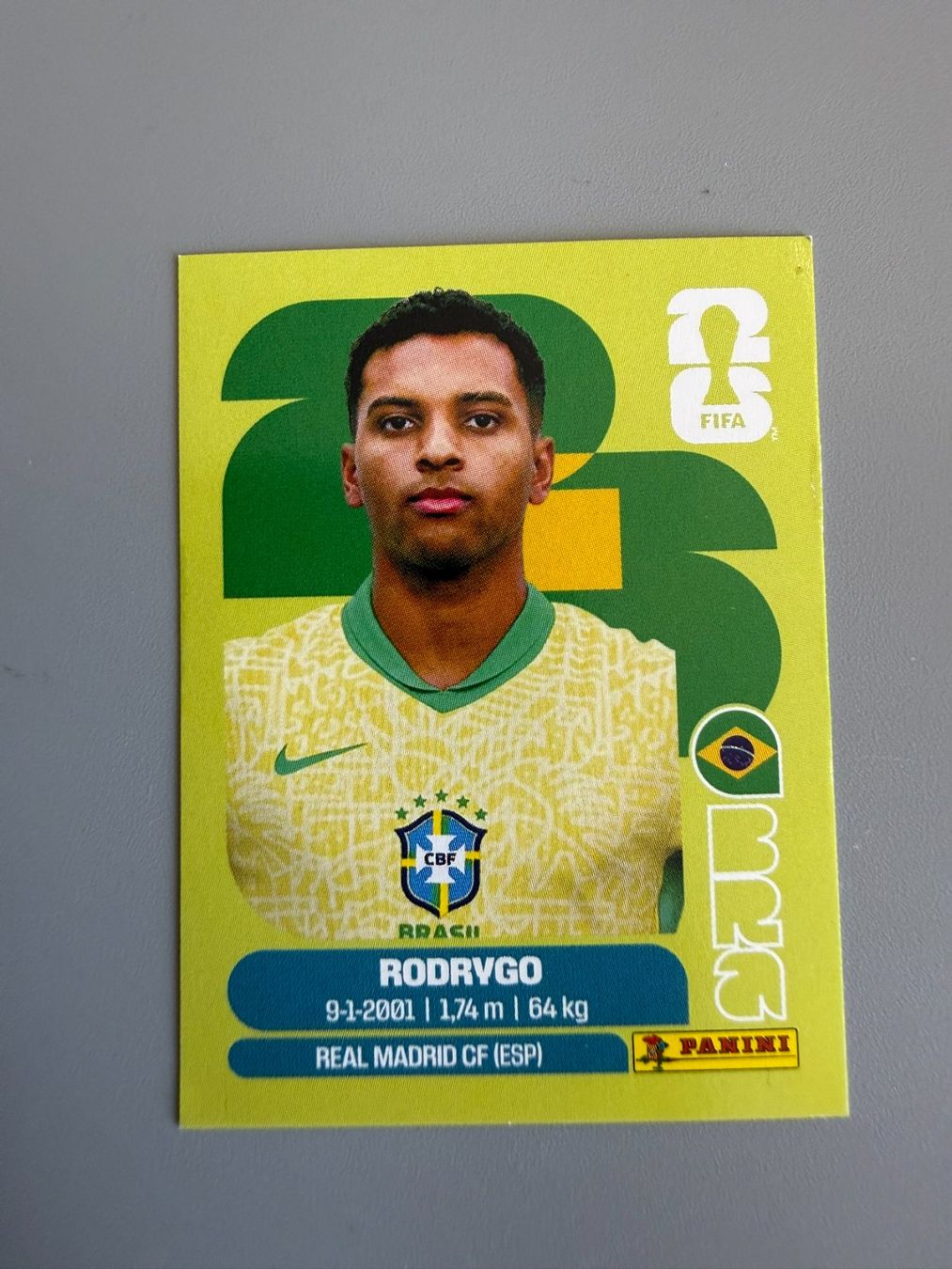 Panini Carte collezionabili: Panini Rodrygo BRA15 – Usato da Liebefeld venduto da Ronaldo-1996