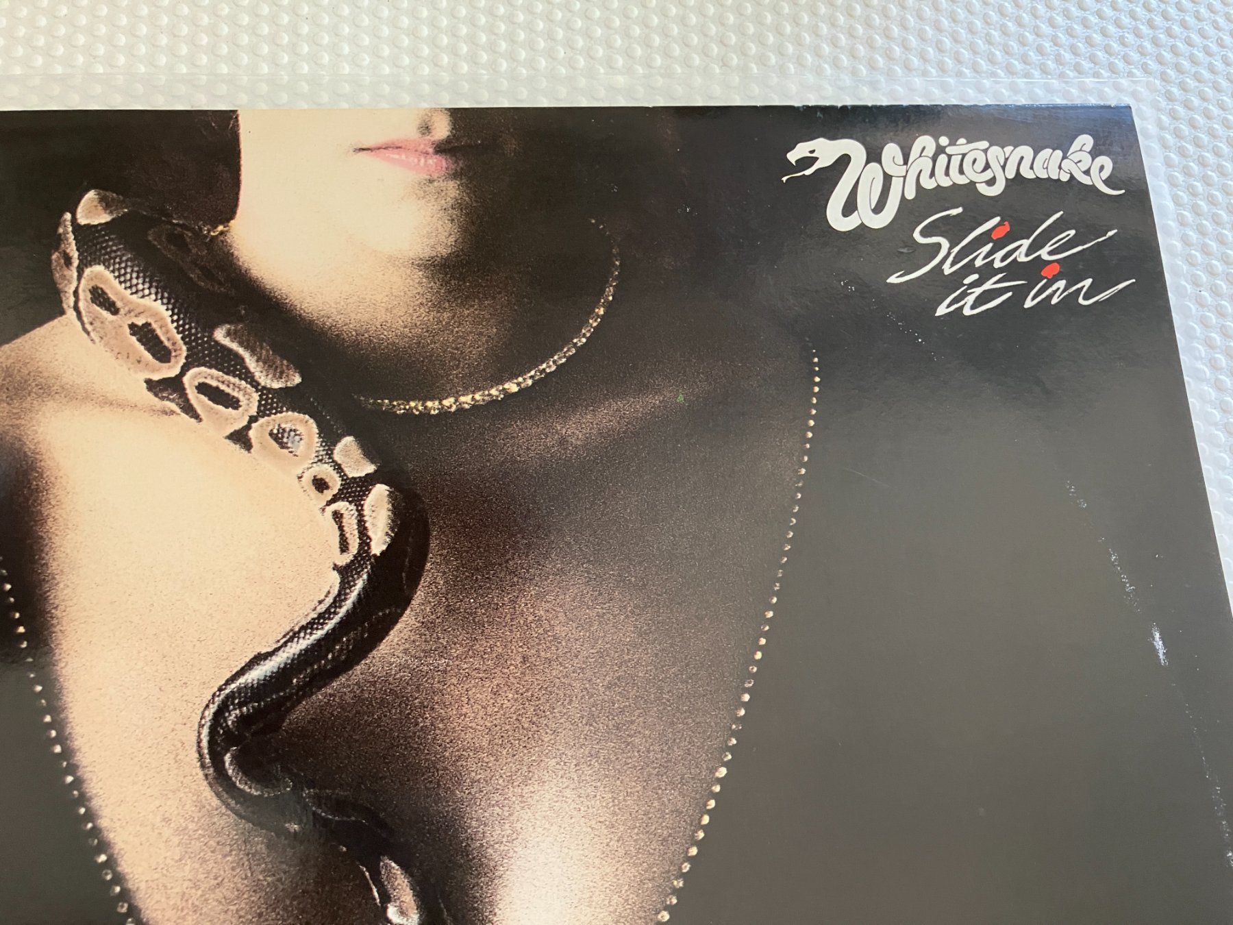 Dischi in vinile: Whitesnake – Usato da Aarwangen venduto da Jukebox3 1