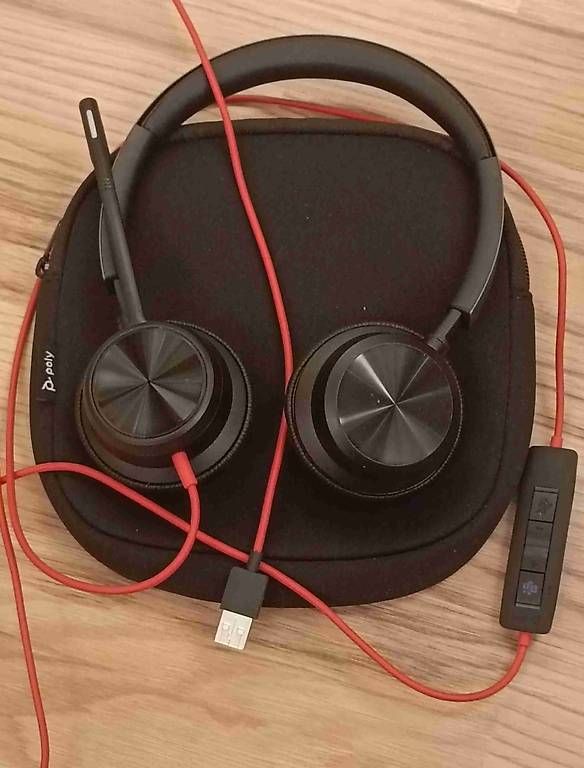 Cuffie: Plantronics Headset BW8225-M (USB-A) – Usato da Hinwil venduto da Islaw