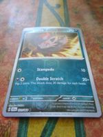 POKEMON  Zorua  H  SFA EN   031/064   HP70   2024