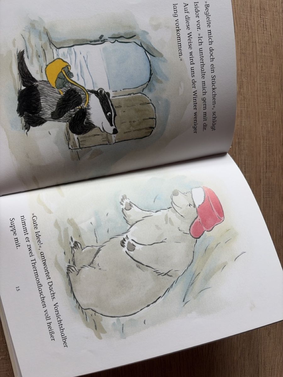 Libri: Kinderbuch "Isidor bleibt wach"  Frédéric Stehr Moritz Verla – Usato da Saanenmöser venduto da ballerinas 2