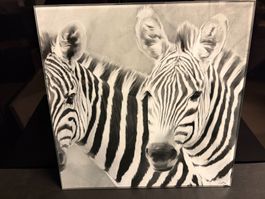 Zebra Glasbild