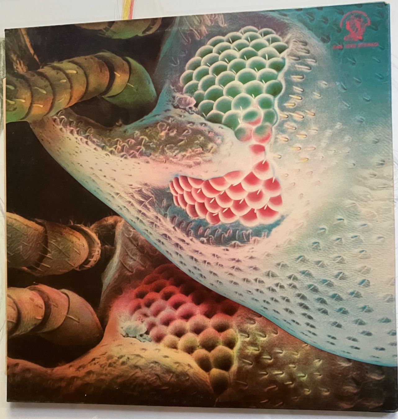 Dischi in vinile: String Driven Thing The Machine That Cried UK Original LP – Usato da Basel venduto da Gholb 1